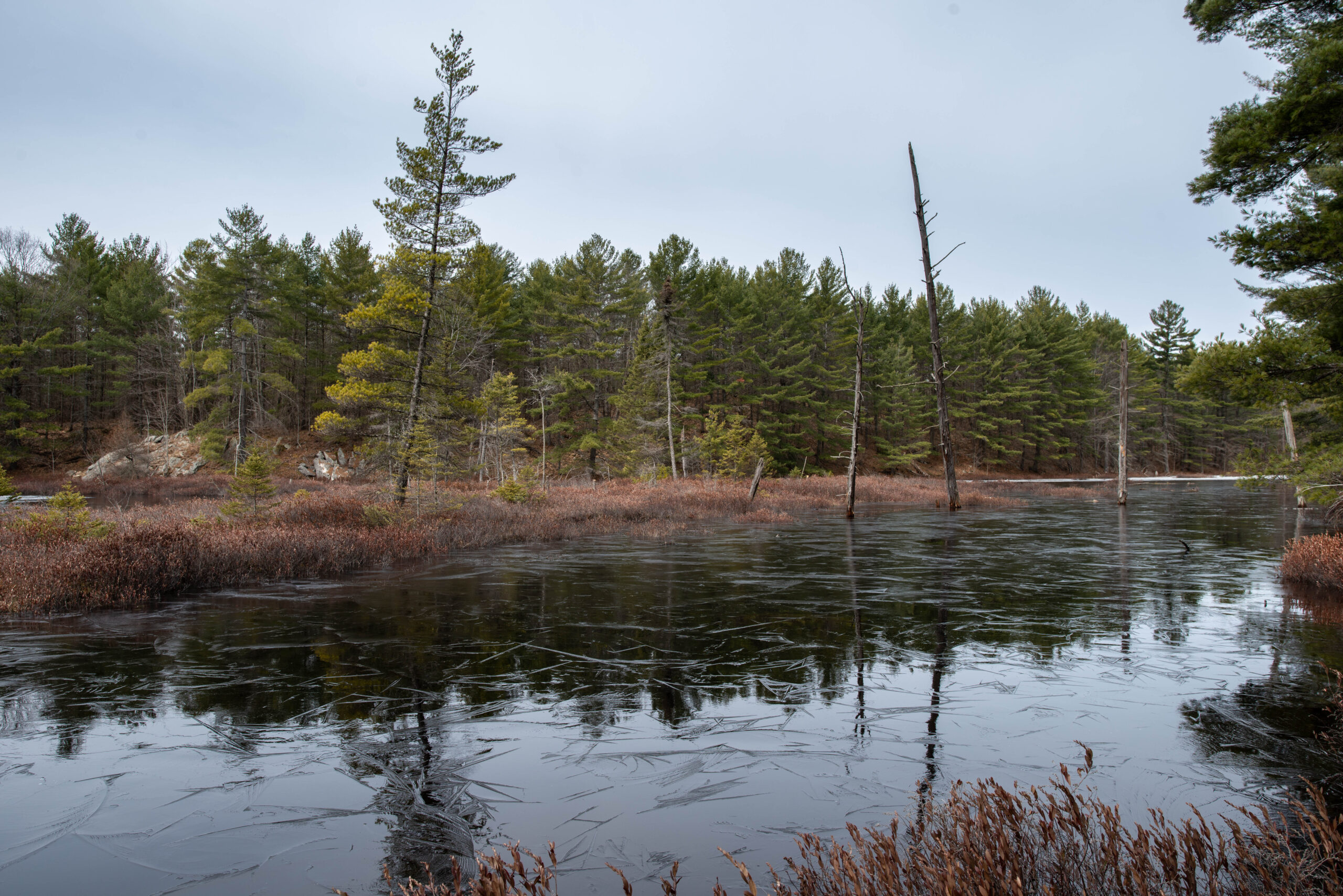 ganaraska hiking trail